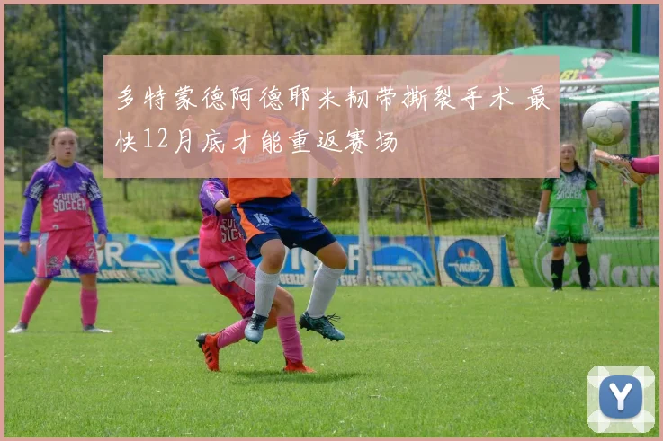多特蒙德阿德耶米韧带撕裂手术 最快12月底才能重返赛场